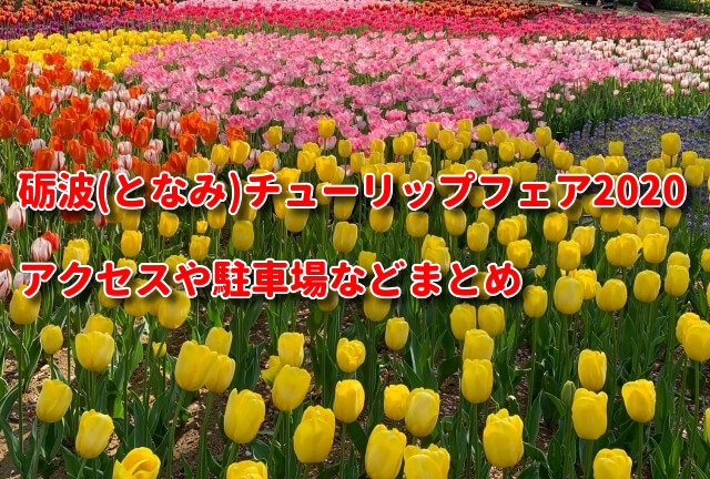 砺波(となみ)チューリップフェア2020！アクセスや駐車場などまとめ