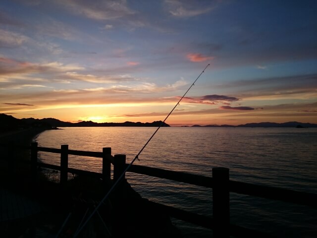 静岡の夜釣りのおすすめポイント