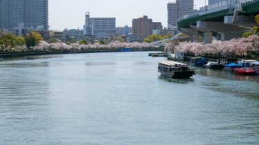 屋形船で忘年会なんていいですよね！大阪のおすすめを紹介します